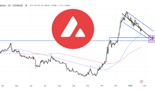 分析师预测AVAX价格接近底部-第1张图片-币安app下载