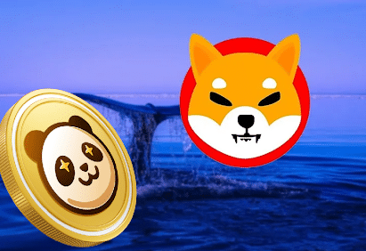 PAMBO成为SHIB成功的竞争者-第1张图片-币安app下载
