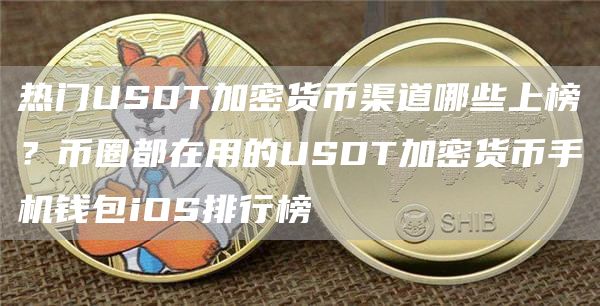 热门USDT加密货币渠道哪些上榜？币圈都在用的USDT加密货币手机钱包iOS排行榜