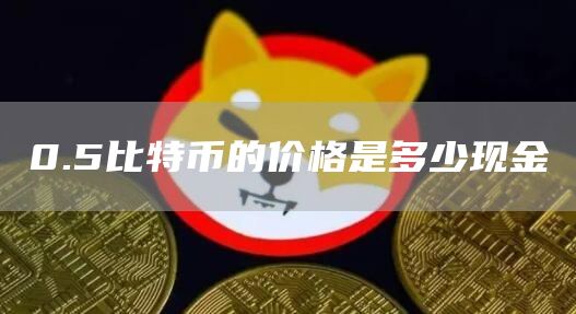 0.5比特币的价格是多少现金