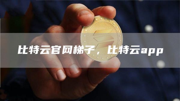 比特云官网梯子，比特云app
