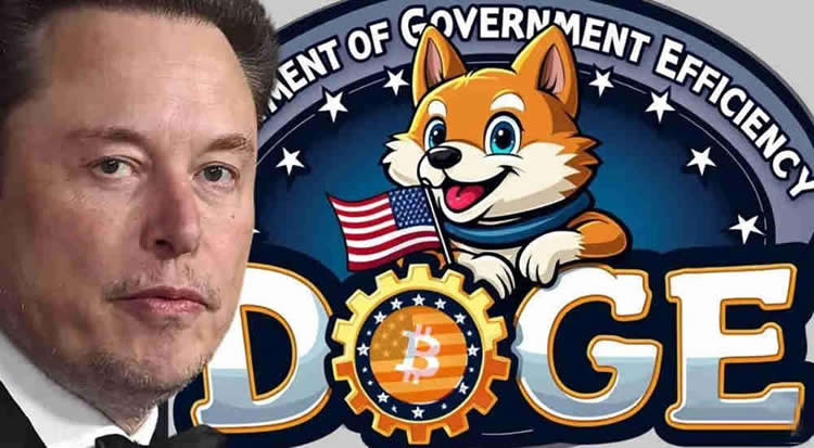 DOGE币是什么 Department of Government Efficiency能买吗-第1张图片-币安app下载