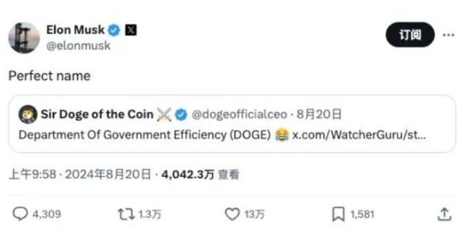 DOGE币是什么 Department of Government Efficiency能买吗-第6张图片-币安app下载
