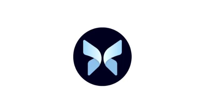 MORPHO币前景如何 值得投资吗-第1张图片-币安app下载