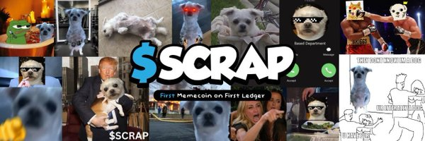XRP涨幅惊人，瑞波生态内的热点Meme币更值得关注（附参与教程）-第5张图片-币安app下载