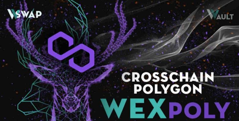 WEX币在哪里可以购买 WEX币上线交易所盘点-第1张图片-币安app下载