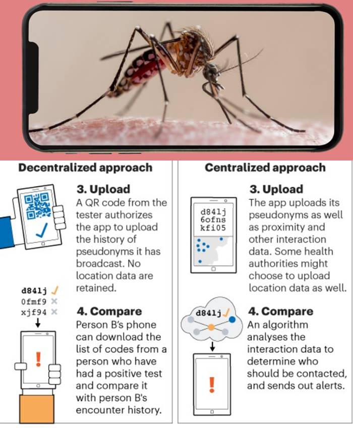 DeSci启蒙：文艺复兴，自然哲学和Web3.0的革命梦想-第6张图片-币安app下载